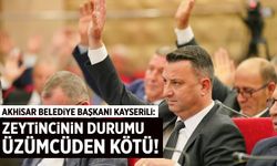 "Zeytincinin durumu üzümcüden kötü"