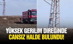 Yüksek gerilim direğinde cansız halde bulundu!