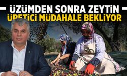 Manisa’da üretici devletten müdahale alımı bekliyor