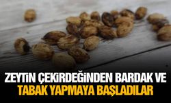 Zeytin çekirdeğinden bardak ve tabak yapmaya başladılar