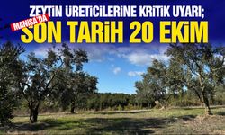 Zeytin üreticilerine kritik uyarı! Son tarih 20 Ekim