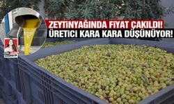 Zeytinyağında bu yıl fiyat düştü! Üretici kara kara düşünüyor...