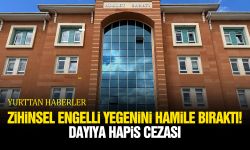 Zihinsel engelli yeğenini hamile bırakan dayıya hapis cezası!