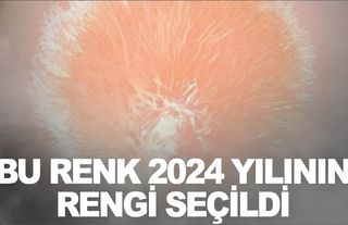 2024 yılının rengi seçildi: Pantone 13-1023 Şeftali Tüyü