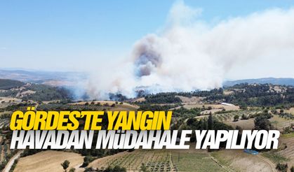 Manisa’daki orman yangınına 5 uçak ve 8 helikopter müdahale ediyor