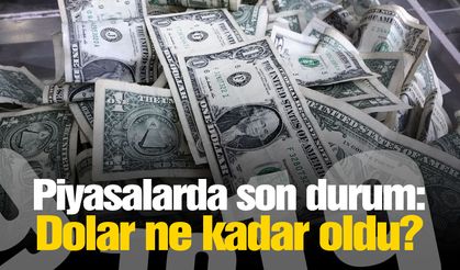 Dolar zirvede yatay seyrediyor