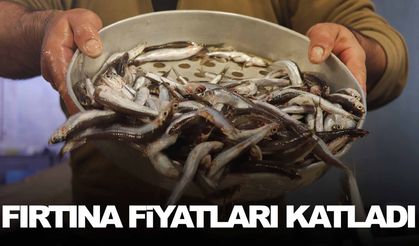 Fırtına balık fiyatlarını da artırdı… İzmir’de fiyatlar katlandı