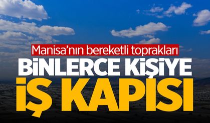 Yaz-kış ekmek kapısı… Manisa’nın bereketli toprakları