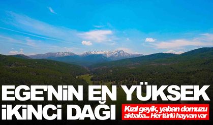 Ege'nin en yüksek ikinci dağı… Milli Park ilan edildi