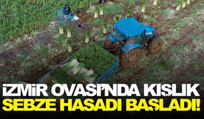 İzmir Ovası’nda kışlık sebze hasadı başladı!