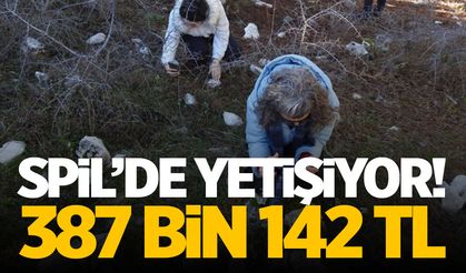 Spil'de yetişiyor! Kimse yanına yaklaşamıyor... Tam 387 bin 142 TL!