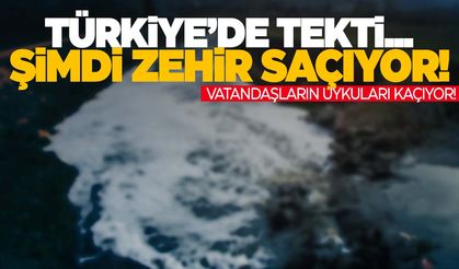 Türkiye’nin tersine akan tek akarsuyu… Zehir saçıyor! Vatandaşlar endişeli!