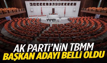 AK Parti’nin TBMM başkan adayı belli oldu!