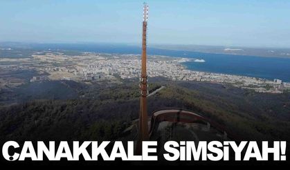 Çanakkale'den acı manzaralar… Yangın yıkıp geçti