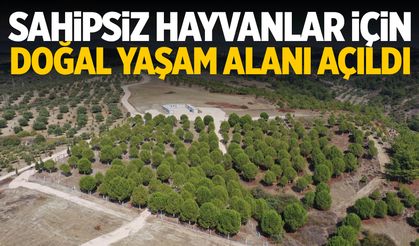 Manisa’nın ilçesinde 4.500 kapasiteli hayvan barınağı hizmete girdi!