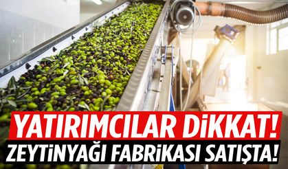 İzmir’de zeytinyağı fabrikası satışa çıkarıldı!