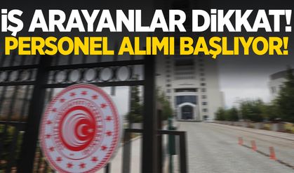 e-Devlet üzerinden başvuru... 95 personel alınacak!