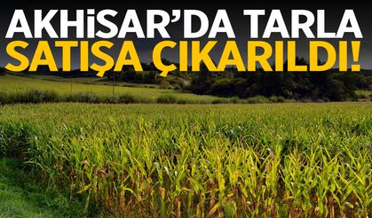 Akhisar’da yatırım imkanı! Tarla satışa çıkarıldı…