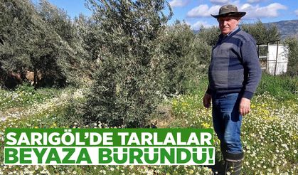 Sarıgöl’de tarlalar beyaza büründü!