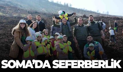 Soma’da yanan alanlar yeniden yeşeriyor…  4 bin fidan toprakla buluştu