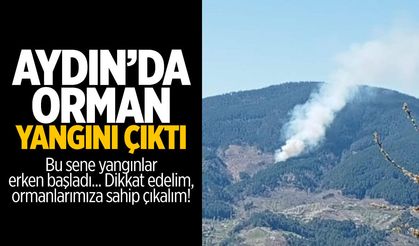 Aydın'da orman yangını çıktı!