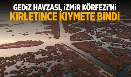 İzmir Körfezi için bir Gediz çağrısı daha