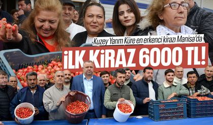 Kuzey yarım kürenin ilk kirazı Manisa'dan çıktı: 6.000 TL!