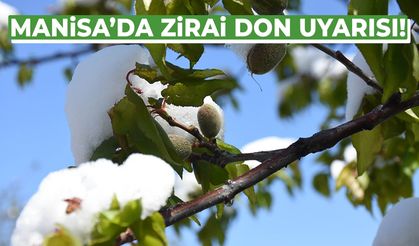 Manisa için zirai don alarmı!