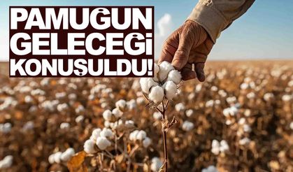 Pamuğun geleceği Ege’de masaya yatırıldı!