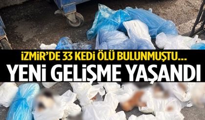 İzmir’de 33 kedi ölü bulunmuştu… Yeni gelişme yaşandı!