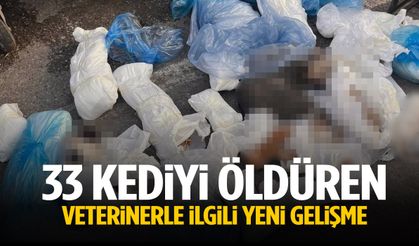İzmir’de 33 kediyi öldüren veterinerle ilgili yeni gelişme