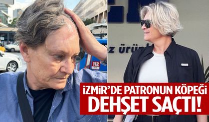 İzmir’de patronun köpeği dehşet saçtı! Kadın koruma ölümden döndü