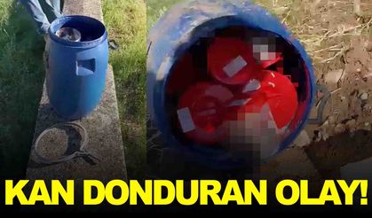 Mezarlıkta 21 cenin bulundu… Bir ilde kan donduran olay!