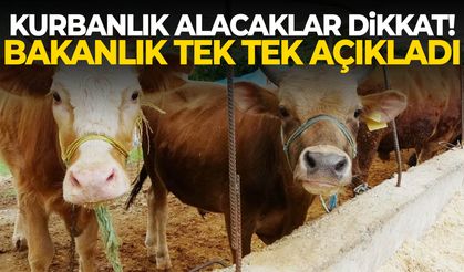 Kurbanlık alacaklar dikkat! Bakanlık tek tek açıkladı