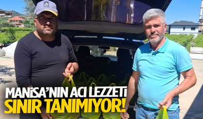 Manisa’nın acı lezzeti sınır tanımıyor!