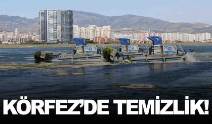 İzmir Körfezi’nde deniz marulu alarmı
