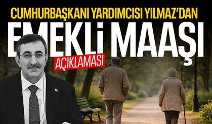 Cumhurbaşkanı Yılmaz'dan 'emekli' açıklaması