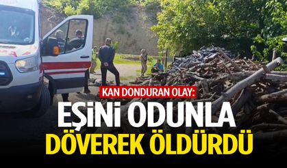 Dehşete düşüren olay: Eşini odunla döverek öldürdü