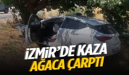 İzmir’de sollama yaparken ağaca çarptı