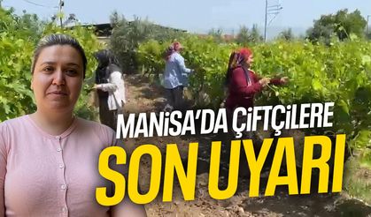 Manisa'da çiftçilere son uyarı!