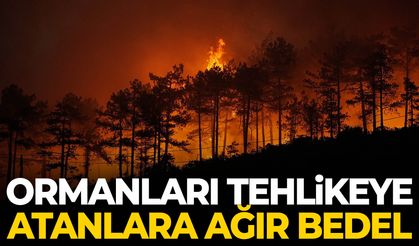 Ormanları tehlikeye atanlara ağır bedel