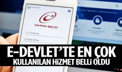 e-Devlet'te en çok kullanılan hizmet belli oldu!