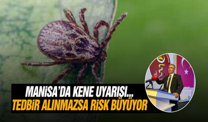 Manisa'da kene uyarısı: "Tedbir alınmazsa risk büyüyor"
