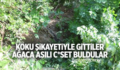 Koku şikayetiyle gittiler... Gördükleri manzara şok etti!