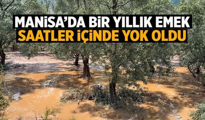 Manisa'da bir yıllık emek saatler içinde buhar oldu!