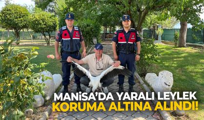 Manisa’da yaralı bulunan leylek koruma altına alındı!