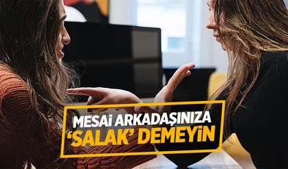 Mesai arkadaşınıza 'salak' demeyin!