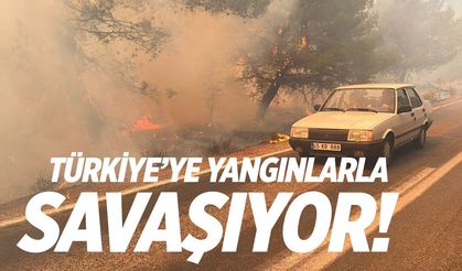 Türkiye yangınlarla boğuşuyor! Güzel haberleri gelmeye başladı...
