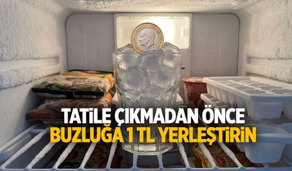 Tatile çıkmadan önce buzluğa 1 TL koyun