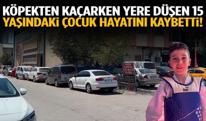 Köpekten kaçarken yere düşen 15 yaşındaki çocuk hayatını kaybetti!